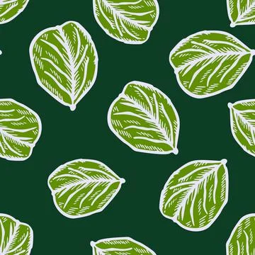 Seamless pattern engraved tree leaves. Vintage background botanical with foli Stock Illustration