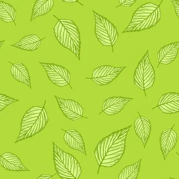 Seamless pattern engraved tree leaves. Vintage background botanical with foli Stock Illustration