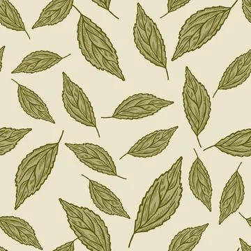 Seamless pattern engraved tree leaves. Vintage background botanical with foli Stock Illustration