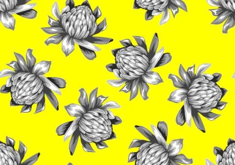 Seamless pattern with etlingera flowers. Decorative ornament Stock Illustration
