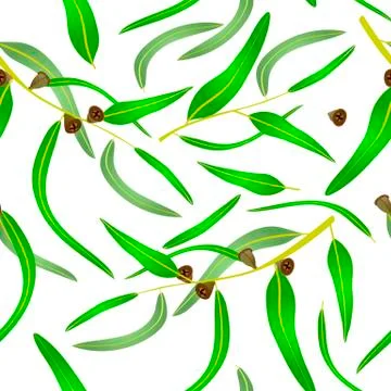 	Seamless pattern with eucalyptus leaves and seeds. Stock Illustration