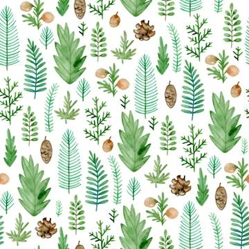 Seamless pattern with evergreen plants. Stock Illustration