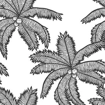 Seamless pattern. Exotic, palm tree with coconuts. Sketch scratch board イラスト素材