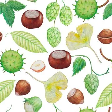 Seamless pattern with fall autumn elements, hazelnuts and chestnuts. Watercolor 스톡 일러스트