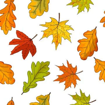 Seamless pattern with fall maple leaves izolate on white. Vector illustration Stock Illustration