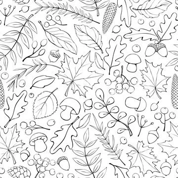 Seamless pattern falling leaves, acorns, berries, cones, mushrooms. Vector au Stock Illustration