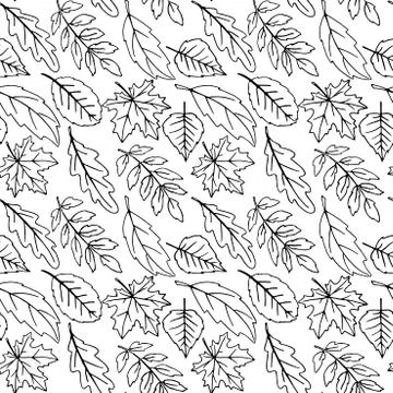 Seamless pattern falling leaves. Vector autumn texture isolated on white back Stock Illustration