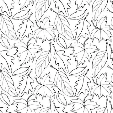Seamless pattern falling leaves. Vector autumn texture isolated, outline, ske 스톡 일러스트
