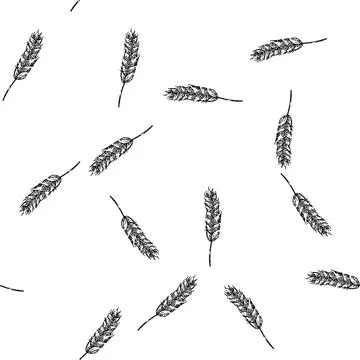 Seamless pattern farm wheat sketch hand drawn Stock Illustration