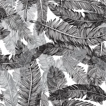 Seamless pattern of feathers .Vector illustration of tribal style. Stock Illustration
