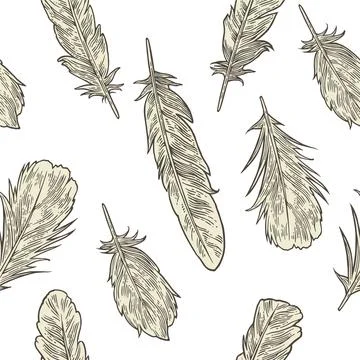 Seamless pattern with feathers. Vintage vector engraving illustration Stock Illustration