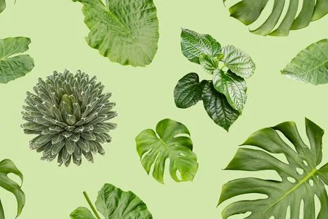 This seamless pattern features various green leaves arranged on a light gre.. Stock Photos