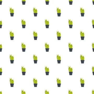 Seamless pattern featuring potted green succulent plants Stock Illustration