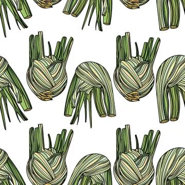 Seamless pattern with fennel on white background. Stock Illustration