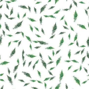 Seamless pattern. Fern Leaf on Background Illustration Stock Illustration