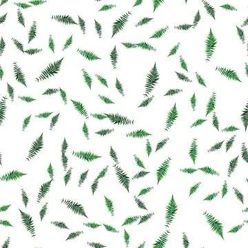Seamless pattern. Fern Leaf Vector Background Illustration EPS10 스톡 일러스트