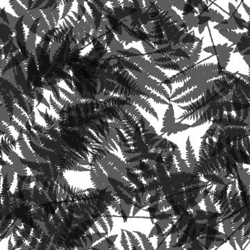 Seamless pattern of fern leaves. Vector illustration Stock Illustration