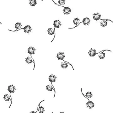 Seamless pattern field cotton plant sketch hand drawn 스톡 일러스트