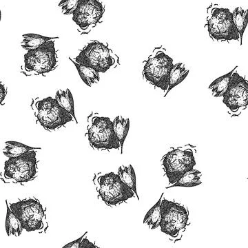 Seamless pattern field saffron sketch hand drawn Stock Illustration