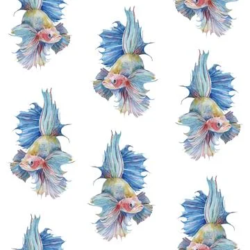 Seamless pattern with fighting siamese aquarium fish betta splendens textured Stock Illustration