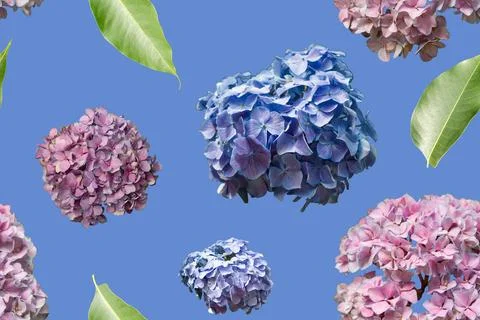 A seamless pattern filled with clusters of flowers in shades of pink and bl.. Stock Photos