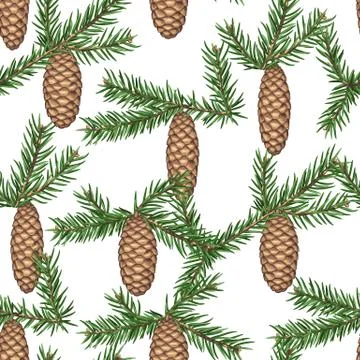 Seamless pattern with fir branches and cones. Detailed vintage illustration Illustrazione stock