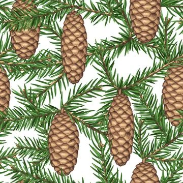 Seamless pattern with fir branches and cones. Detailed vintage illustration Stock Illustration