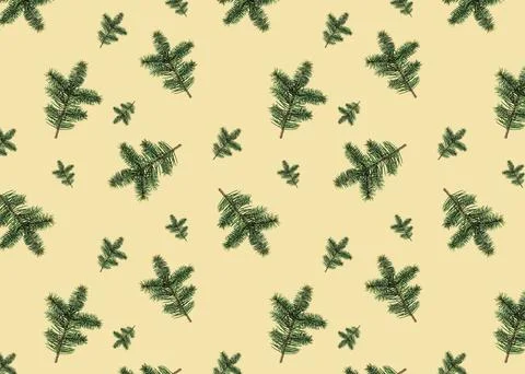 Seamless pattern of fir branches on a light background. Seamless texture for Foto stock
