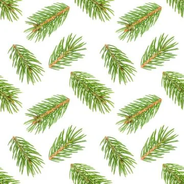 Seamless pattern of fir tree branches on white Foto stock
