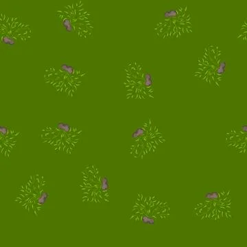 Seamless pattern fish aquarium plant cartoon vector Illustrazione stock