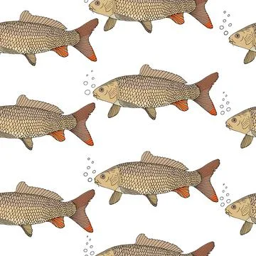 Seamless pattern of fish carp with bubbles, hand drawn. Can be used for packa Stock Illustration