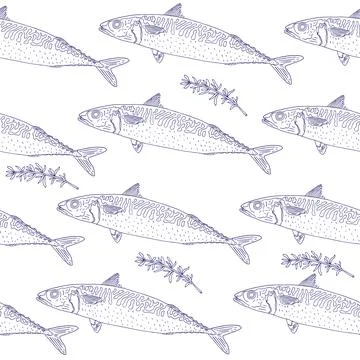 Seamless pattern of fish mackerel and thyme, hand drawn. Can be used for pack Illustrazione stock