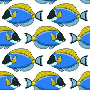 Seamless pattern with fish surgeon. Vector tropical background. Stock Illustration