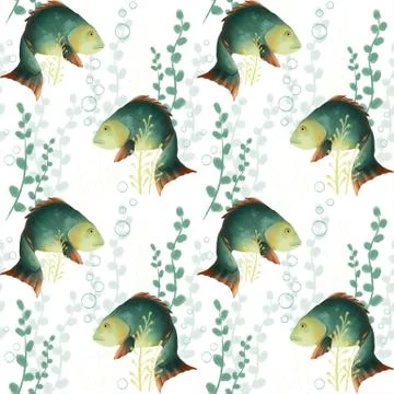 Seamless pattern with fish. Underwater world, crucian carp and algae on a white Illustrazione stock