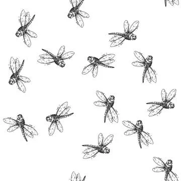 Seamless pattern flight dragonfly sketch hand drawn Stock Illustration