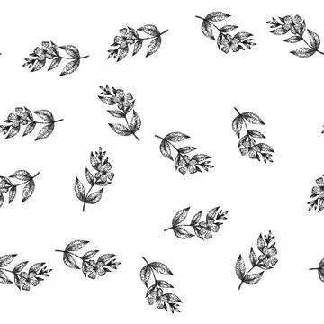 Seamless pattern flora periwinkle sketch hand drawn Stock Illustration