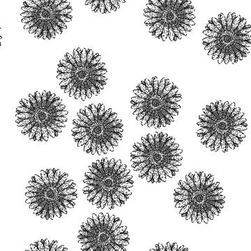 Seamless pattern floral gerbera daisy sketch hand drawn Stock Illustration