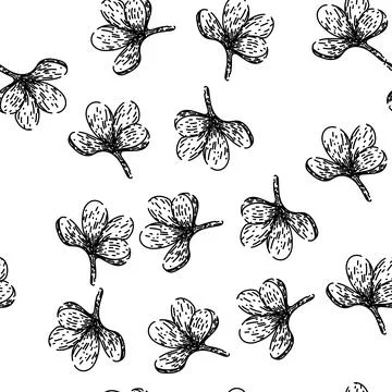 Seamless pattern floral lilac sketch hand drawn Stock Illustration