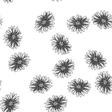 Seamless pattern flower aster sketch hand drawn Stock Illustration