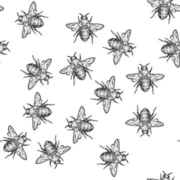 Seamless pattern flower bee sketch hand drawn 库存插图