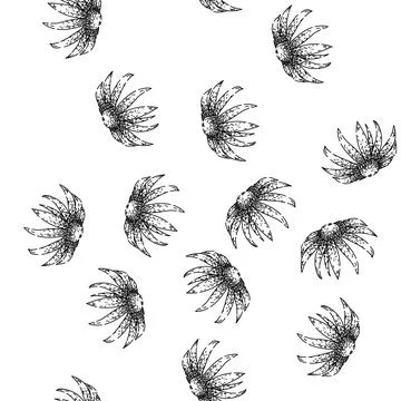 Seamless pattern flower black eyed susan sketch hand drawn Stock Illustration