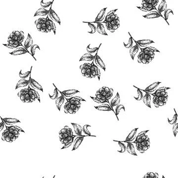 Seamless pattern flower camellia sketch hand drawn 스톡 일러스트