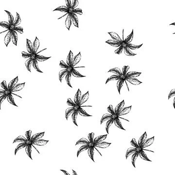 Seamless pattern flower clematis sketch hand drawn Stock Illustration