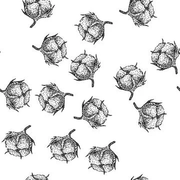 Seamless pattern flower cotton plant sketch hand drawn Stock Illustration