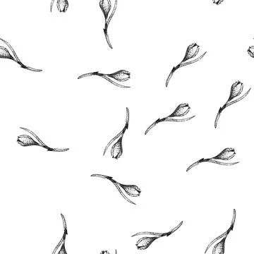 Seamless pattern flower crocus sketch hand drawn Stock Illustration