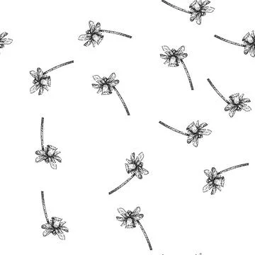 Seamless pattern flower daffodil sketch hand drawn Stock Illustration
