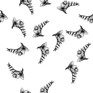Seamless pattern flower freesia sketch hand drawn Stock Illustration