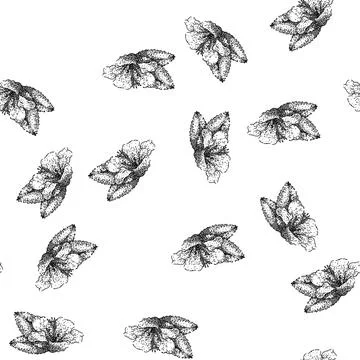 Seamless pattern flower hibiscus sketch hand drawn Stock Illustration