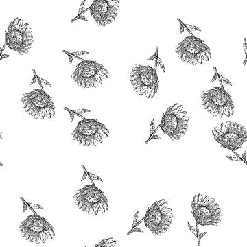Seamless pattern flower honey sketch hand drawn Stock Illustration