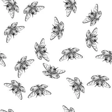 Seamless pattern flower ladybug sketch hand drawn Stock Illustration